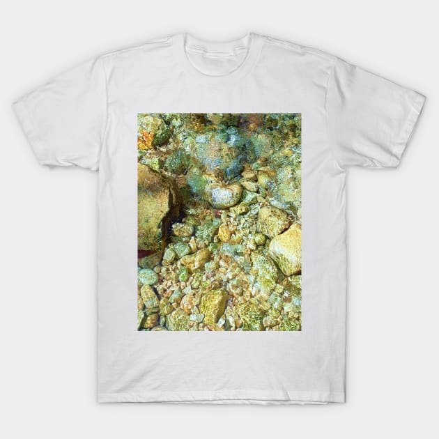 Wet pebbles, pebbles, river, water, nature, wet, rain, winter, xmas, fall, tropical, summer, holidays, art, exotic T-Shirt by PrintedDreams